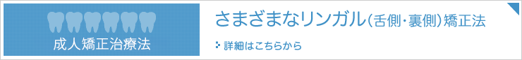 さまざまなリンガル矯正法