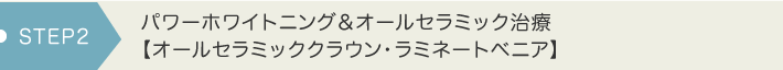 パワーホワイト＆セラミック