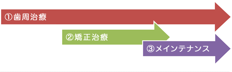 ①歯周治療②矯正治療③メインテナンス