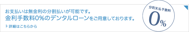 お支払いは無金利の分割払いが可能です。 